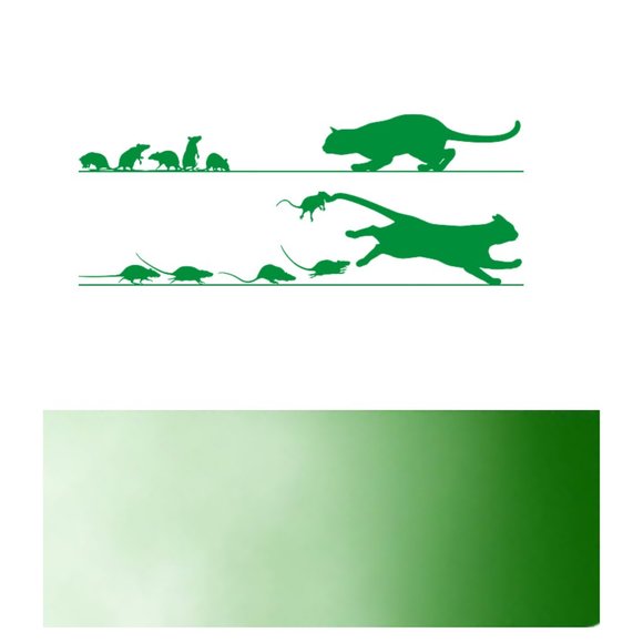 Rats Chasing Cat- Car stickers-Vinyl Decals-Cool Sticker-Funny Sticker-Laptop - Picture 9 of 14